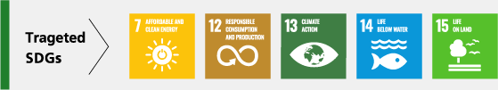 Targeted SDGs