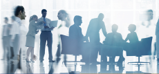 Structure for Promoting and Managing Sustainability