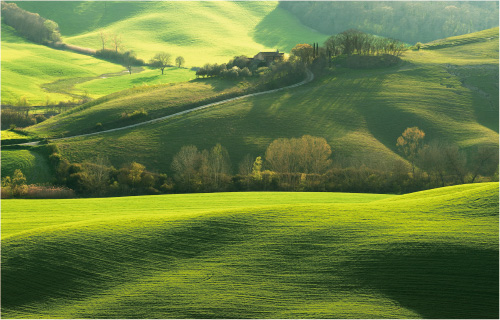Environment