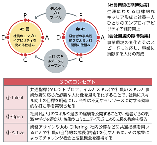 人材開発プログラムのイメージ