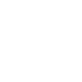 ドメインネームサーバーを標準提供
