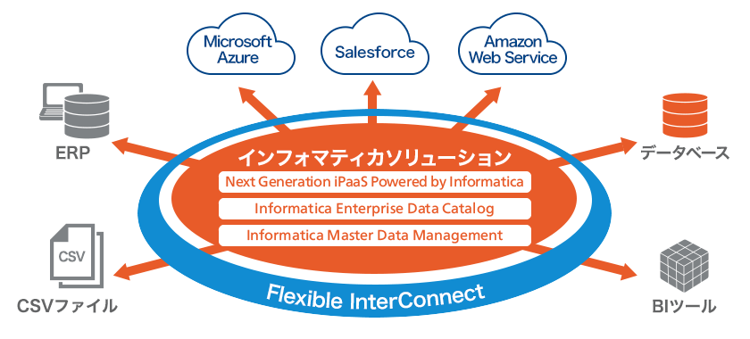 画像：インフォマティカソリューション図