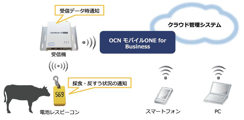 ソリューション概要